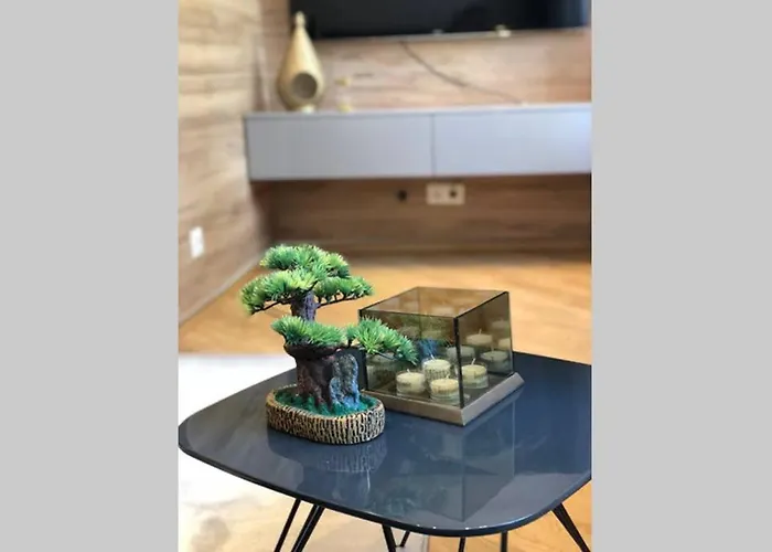 Zeus Design Schoenbrunn Vienne